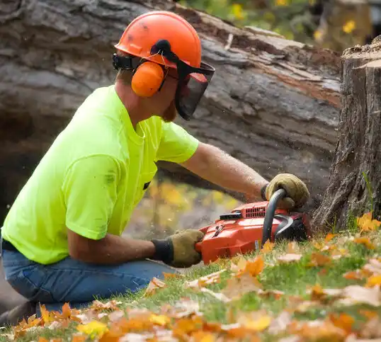 tree services O'Neill